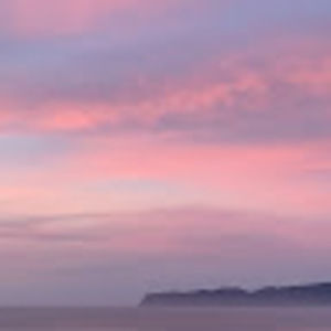 Meet your Posher, Motmot